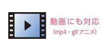 動画にも対応
